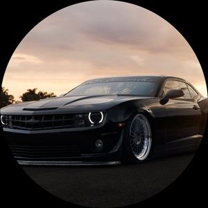 Meet your Posher, Owen